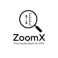 ZoomX logo